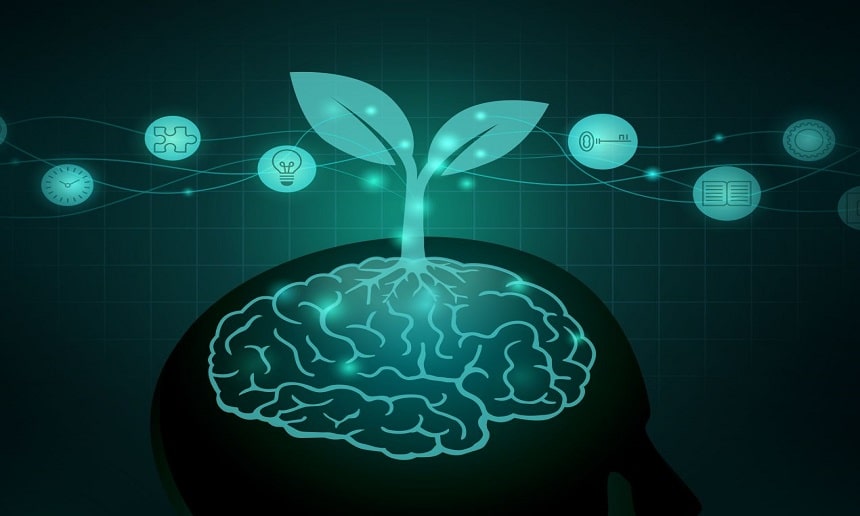Inúmeras conexões crescem em seu cérebro durante a atividade cognitiva